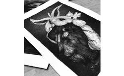 traces-4_250x154_crop_478b24840a