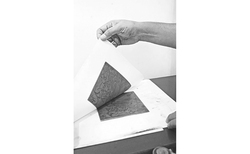 traces-7_250x154_crop_478b24840a