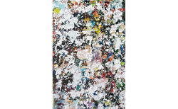 60054706-2384973938405786-4177172552277295104-n_250x154_crop_478b24840a