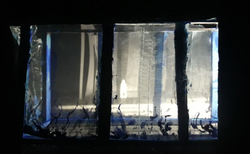 untitled-2_250x154_crop_478b24840a