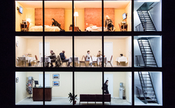 viola02_250x154_crop_478b24840a