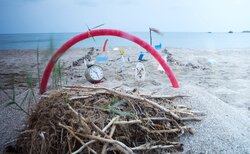 61193348-10156354113904109-1614050453593522176-o-1_250x154_crop_478b24840a