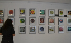 dsc-0305_250x154_crop_478b24840a