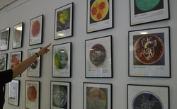 dsc-0307_250x154_crop_478b24840a