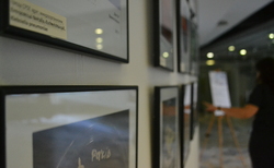 dsc-0311_250x154_crop_478b24840a