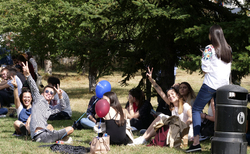 1488021-copy_250x154_crop_478b24840a