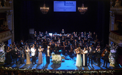 sequence-01226-copy_250x154_crop_478b24840a