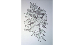 img-20191113-114423-new_250x154_crop_478b24840a