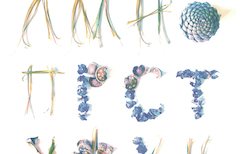 mirela-andonova_250x154_crop_478b24840a