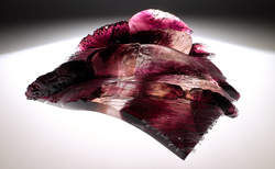 tai-xiao_250x154_crop_478b24840a