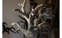 zankov-tree-detail-chugun-1024x683_250x154_crop_478b24840a