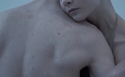 vtora-koja-4_250x154_crop_478b24840a