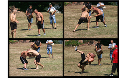 2_250x154_crop_478b24840a