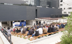 1944123-copy_250x154_crop_478b24840a