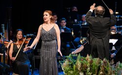 120278000-10158797481105929-2889322626317947186-o_250x154_crop_478b24840a