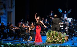 120291091-10158797481550929-3209709232500618560-o_250x154_crop_478b24840a