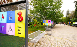 1955789_250x154_crop_478b24840a