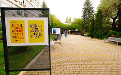 1955808_250x154_crop_478b24840a