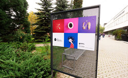 1955830_250x154_crop_478b24840a