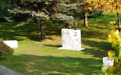 123652915-1275465152852913-8731248248666853494-n_250x154_crop_478b24840a