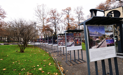 2066182-copy_250x154_crop_478b24840a