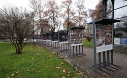 2066206-copy_250x154_crop_478b24840a