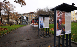 2066211-copy_250x154_crop_478b24840a