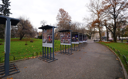 2066248-copy_250x154_crop_478b24840a