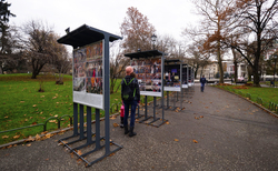 2066270-copy_250x154_crop_478b24840a