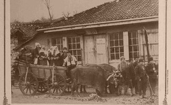 plakat_250x154_crop_478b24840a