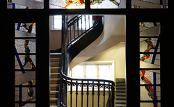 fine-3_250x154_crop_478b24840a