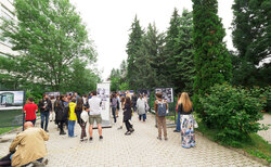 2255303_250x154_crop_478b24840a