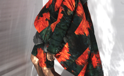 anelia-antova-11_250x154_crop_478b24840a