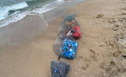 d2_250x154_crop_478b24840a