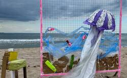 d6_250x154_crop_478b24840a