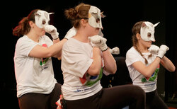 2266452_250x154_crop_478b24840a