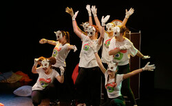 2266490_250x154_crop_478b24840a