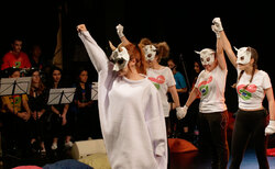 2266517_250x154_crop_478b24840a