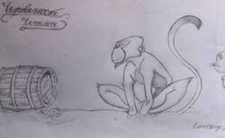 toshko3_250x154_crop_478b24840a