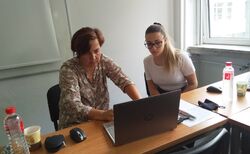 liatna-3_250x154_crop_478b24840a