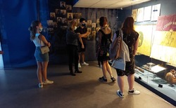 nvim-4_250x154_crop_478b24840a