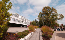 2366164_250x154_crop_478b24840a