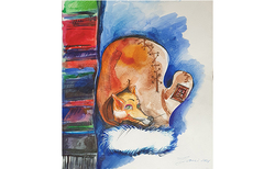 20211123-100556_250x154_crop_478b24840a