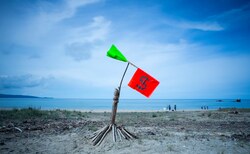 61162446-10156358516394109-6798890709391769600-o_250x154_crop_478b24840a