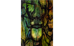 n-manolova-forest-delight_250x154_crop_478b24840a