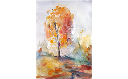 p1190207_250x154_crop_478b24840a