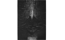 v-angelov-nature-totem_250x154_crop_478b24840a