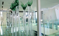 flores-aestivi_250x154_crop_478b24840a