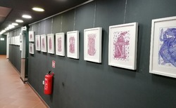 255734186-5128353340526018-7075801287220791116-n_250x154_crop_478b24840a