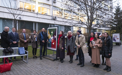 2522716-copy_250x154_crop_478b24840a